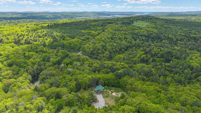 689 Hard Scrabble Rd, Sweden, ME 04008 - drone / aerial view of a forest