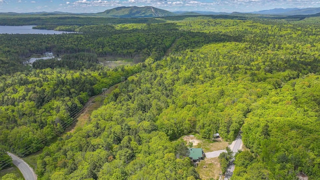 689 Hard Scrabble Rd, Sweden, ME 04008 - bird's eye view of a forest and a water and mountain view