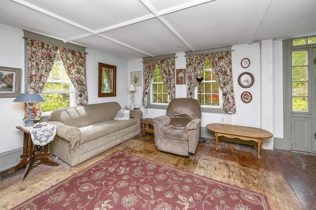 31 Main St, Sandown, NH 03873 - living room featuring hardwood / wood-style flooring and healthy amount of natural light