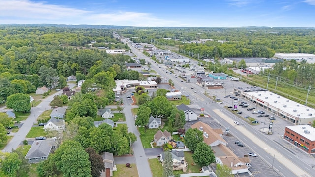 16 Ann Ave, Salem, NH 03079 - bird's eye view of a heavily wooded area