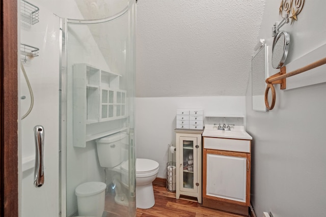 72 Beaver Rd, Strafford, NH 03884 - bathroom with toilet, a sink, wood finished floors, and a textured ceiling