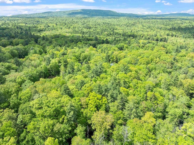 72 Beaver Rd, Strafford, NH 03884 - drone / aerial view of a heavily wooded area