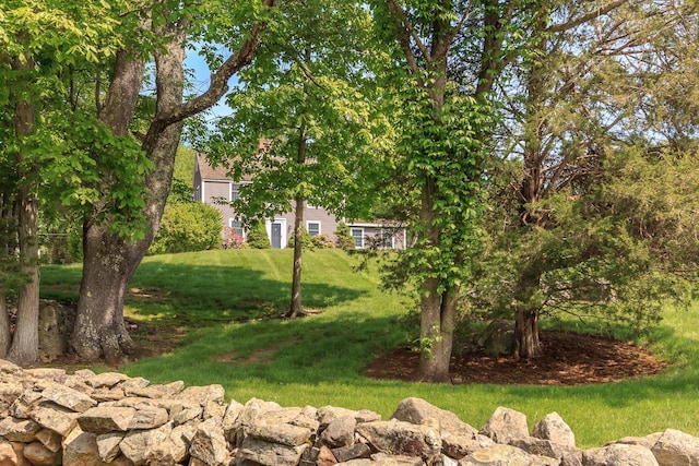 19 Cambridge Rd, Hampstead, NH 03841 - view of green lawn