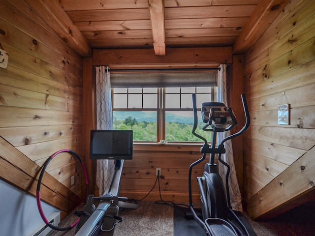 93 Rowell Hill Rd, New London, NH 03257 - workout room featuring carpet flooring, wooden walls, and wood ceiling