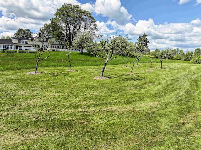 93 Rowell Hill Rd, New London, NH 03257 - view of grassy yard