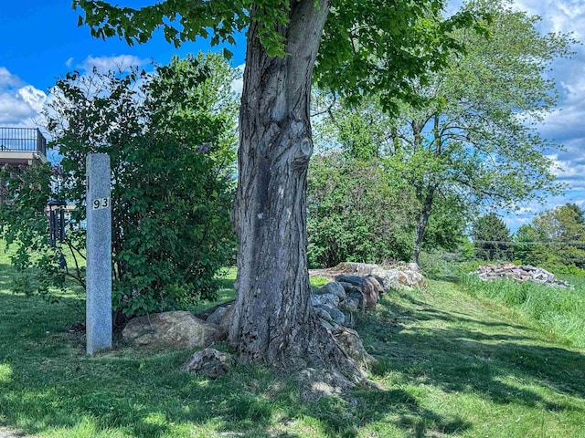 93 Rowell Hill Rd, New London, NH 03257 - view of yard