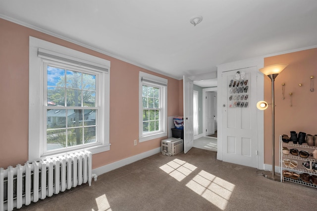 92 Mace Rd, Hampton, NH 03842 - unfurnished room with radiator heating unit, plenty of natural light, crown molding, baseboards, and carpet floors