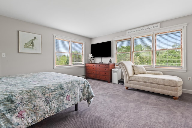 345 Williams Rd, Littleton, NH 03561 - bedroom featuring multiple windows, light colored carpet, baseboards, and baseboard heating