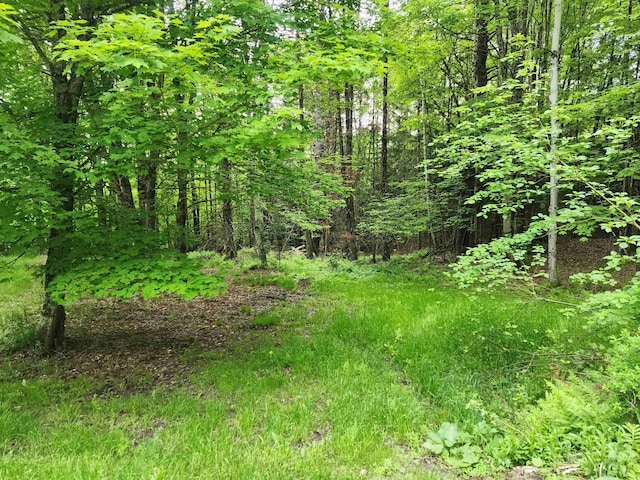 0000 Williams Rd, Littleton, NH 03561
