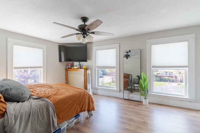 12 Harvard St, Exeter, NH 03862 - bedroom featuring multiple windows, wood finished floors, and ceiling fan
