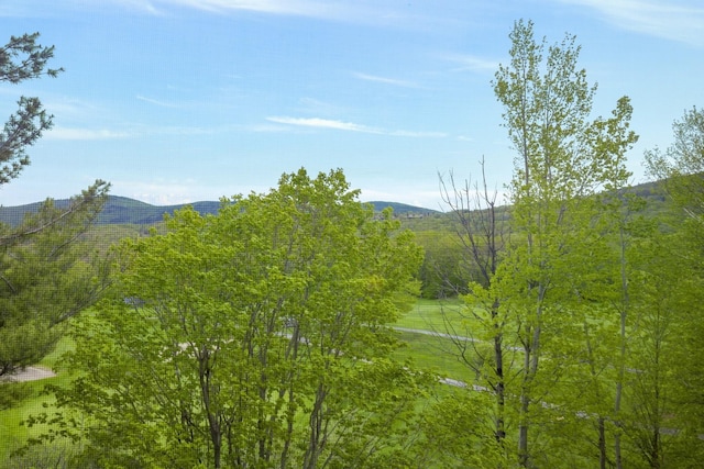 137 E Mountain Rd Unit 2E1, Killington, VT 05751 - mountain view