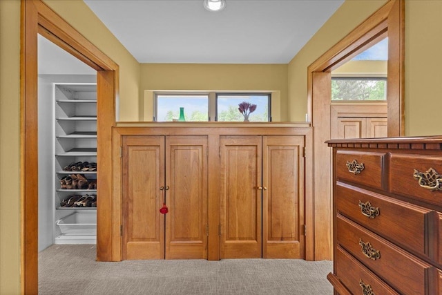 83 Dewey Farm Rd, Stowe, VT 05672 - carpeted entrance foyer featuring plenty of natural light
