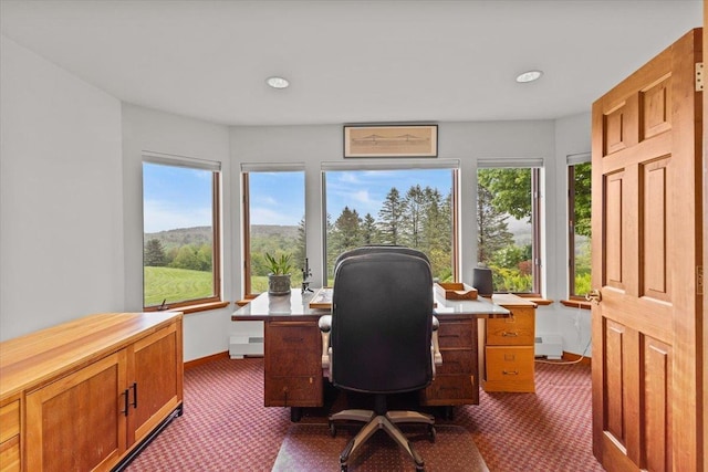 83 Dewey Farm Rd, Stowe, VT 05672 - office space with dark colored carpet, baseboard heating, baseboards, and recessed lighting