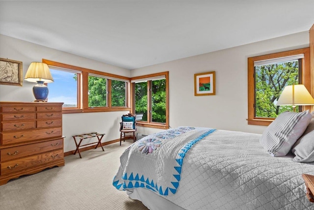 83 Dewey Farm Rd, Stowe, VT 05672 - carpeted bedroom featuring multiple windows and baseboards