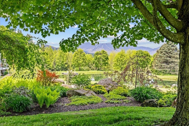 83 Dewey Farm Rd, Stowe, VT 05672 - view of yard with a water and mountain view