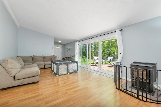 4 Johns Dr Unit A, Hooksett, NH 03106 - living room featuring wood finished floors
