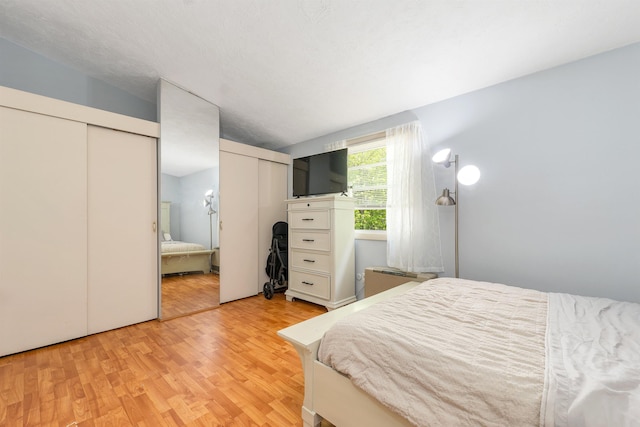 4 Johns Dr Unit A, Hooksett, NH 03106 - bedroom with two closets and light wood finished floors