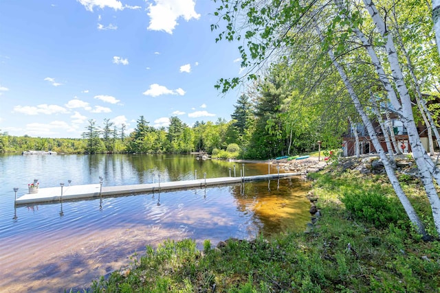 72 Auclair Rd, Middleton, NH 03887 - dock area with a water view and a view of trees