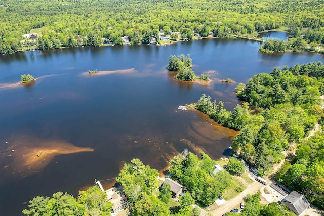 72 Auclair Rd, Middleton, NH 03887 - bird's eye view of a heavily wooded area and a nearby body of water