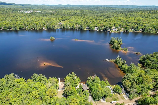 72 Auclair Rd, Middleton, NH 03887 - bird's eye view of a heavily wooded area and a nearby body of water