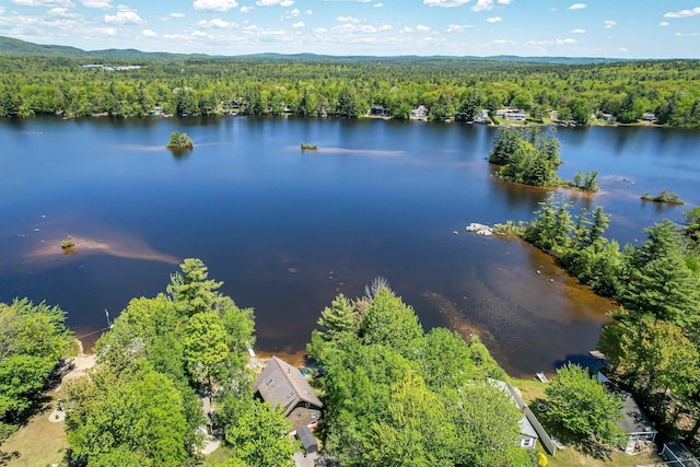 72 Auclair Rd, Middleton, NH 03887 - drone / aerial view of a heavily wooded area and a large body of water