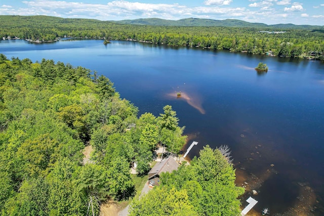 72 Auclair Rd, Middleton, NH 03887 - aerial view of a heavily wooded area and a water and mountain view