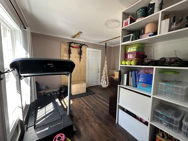 8 Main St, Bennington, NH 03442 - workout room with dark wood-style flooring and crown molding