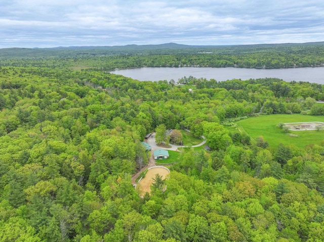 278 N Rd, Deerfield, NH 03037 - drone / aerial view of a heavily wooded area and a large body of water