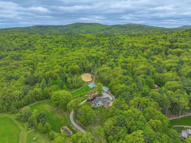 278 N Rd, Deerfield, NH 03037 - bird's eye view of a forest