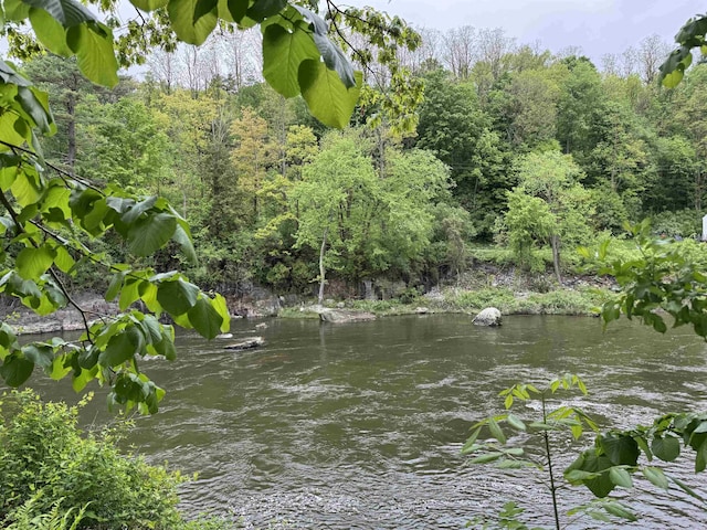 9 River St Unit 1, Milton, VT 05468 - water view