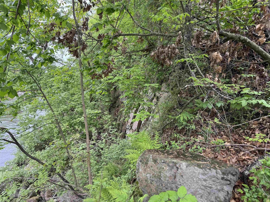 9 River St Unit 1, Milton, VT 05468 - view of woods