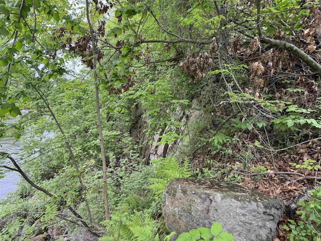 9 River St Unit 1, Milton, VT 05468 - view of woods