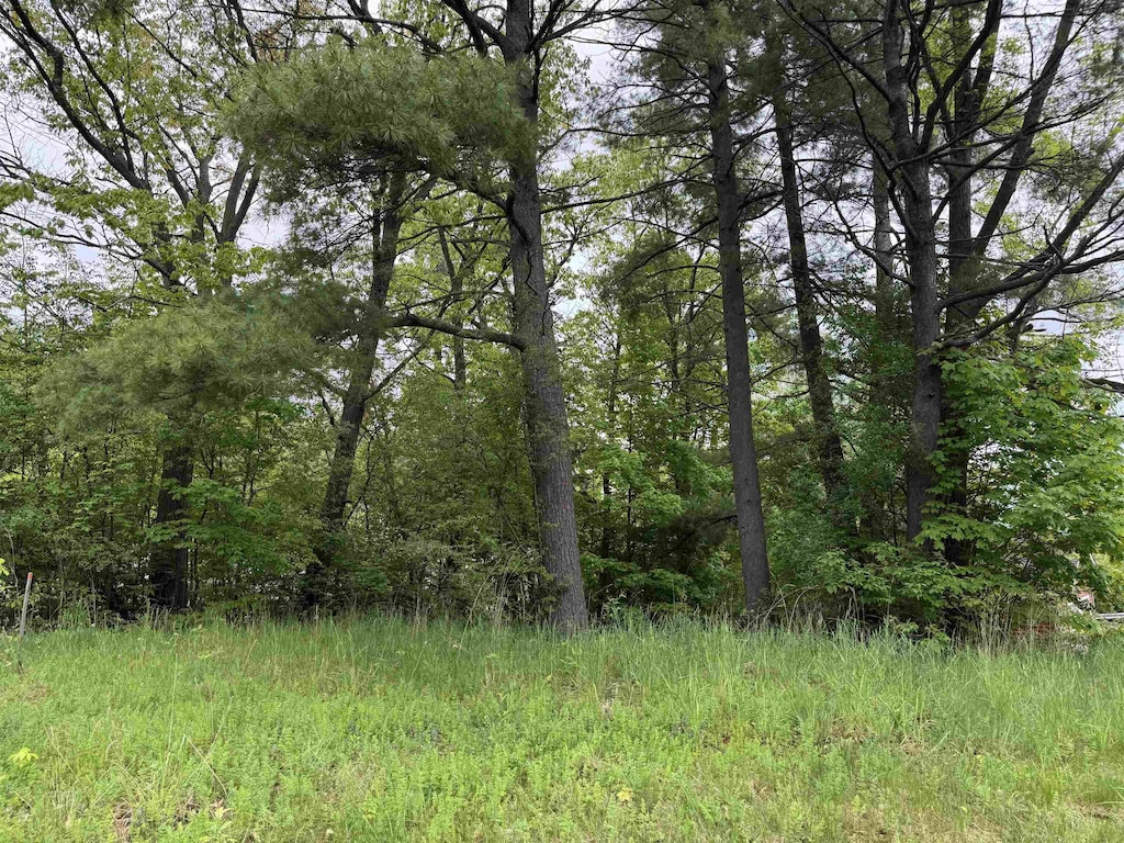 9 River St Unit 1, Milton, VT 05468 - view of woods
