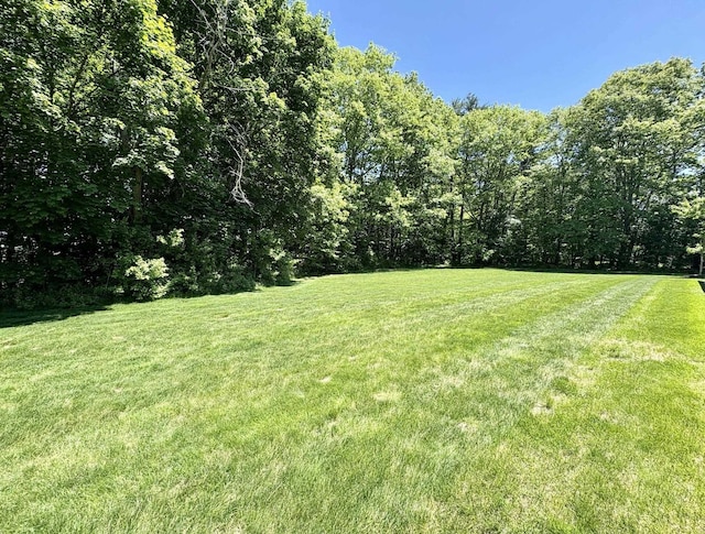 17 Callaway Dr Unit 4, Concord, NH 03301 - view of green lawn featuring a view of trees
