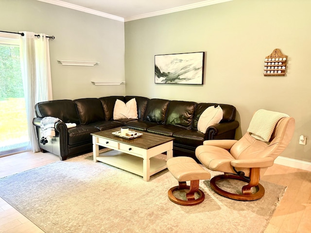 17 Callaway Dr Unit 4, Concord, NH 03301 - living area featuring wood finished floors, crown molding, and baseboards