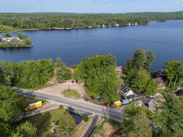 94 Lake Shore Dr, Northwood, NH 03261