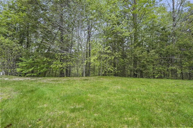 27 Autumn Ln, Hampstead, NH 03826 - view of yard featuring a wooded view