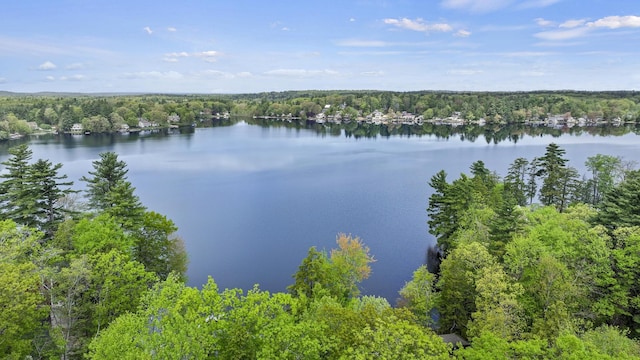 27 Autumn Ln, Hampstead, NH 03826 - water view featuring a forest