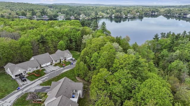 27 Autumn Ln, Hampstead, NH 03826 - bird's eye view of a forest and a large body of water
