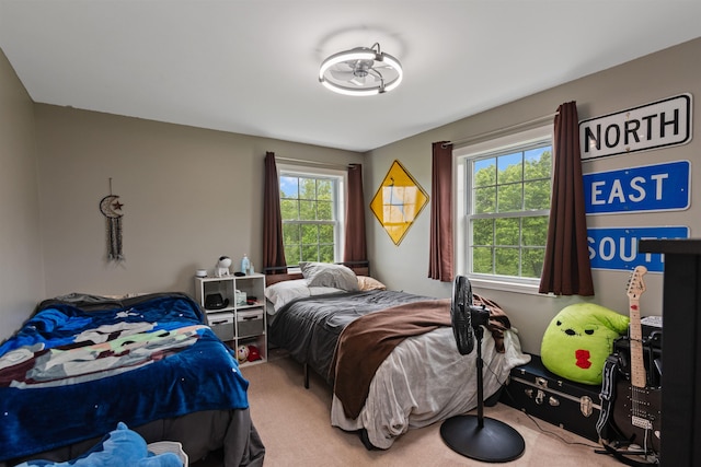6 Pheasant Run Rd, Fairfax, VT 05454 - view of carpeted bedroom