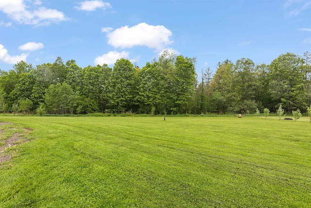 6 Pheasant Run Rd, Fairfax, VT 05454 - view of green lawn