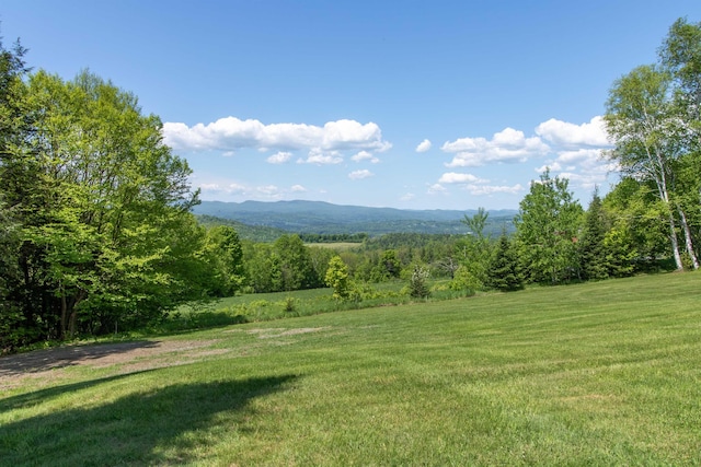 76 Back Of The Moon Rd, Kirby, VT 05832 - mountain view featuring a forest