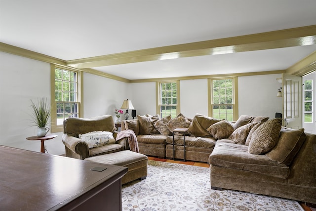 245-247 Danville Rd, Fremont, NH 03044 - living area featuring healthy amount of natural light, crown molding, and light wood finished floors