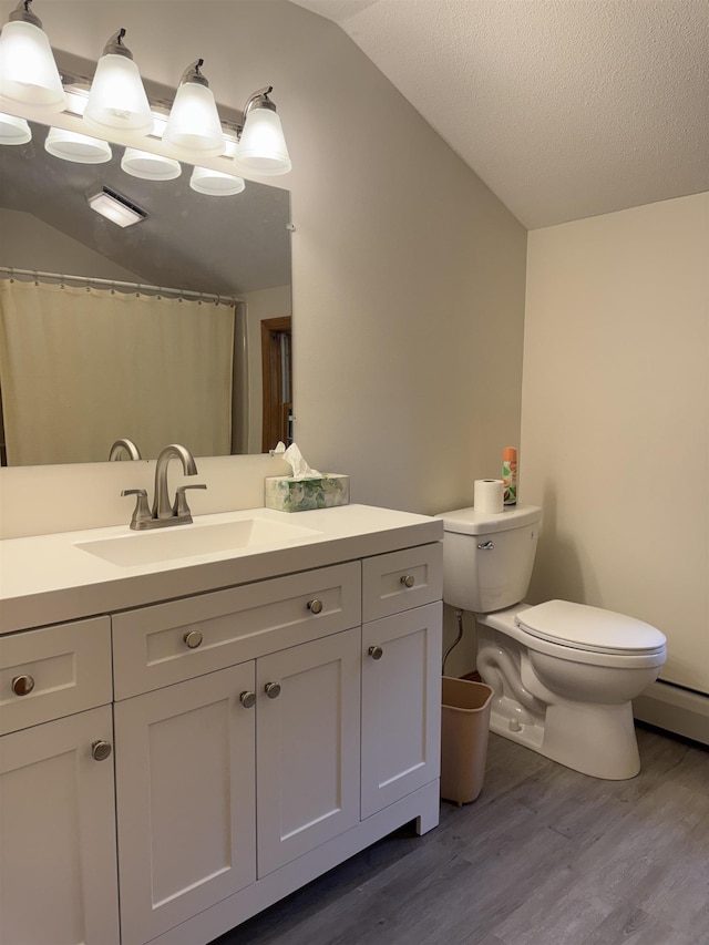 52 Jericho Rd, Grantham, NH 03753 - full bathroom with lofted ceiling, toilet, wood finished floors, and vanity