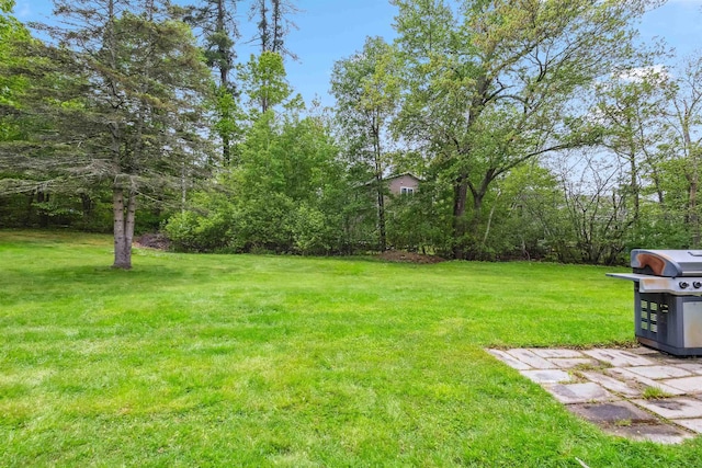 3-5 Cross St, Windham, NH 03087 - view of green lawn