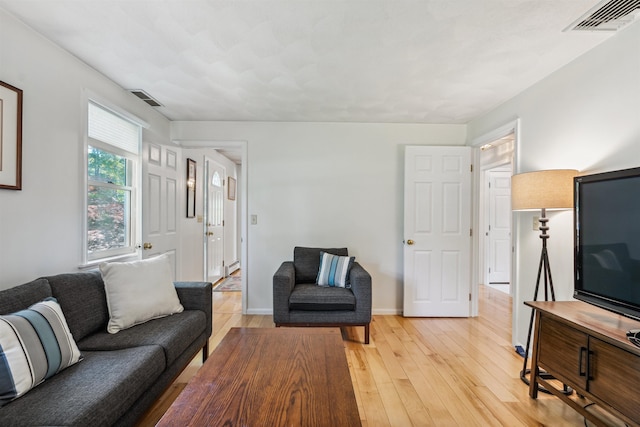 24 Theresa Ave, Salem, NH 03079 - living room featuring light wood-style flooring and baseboards