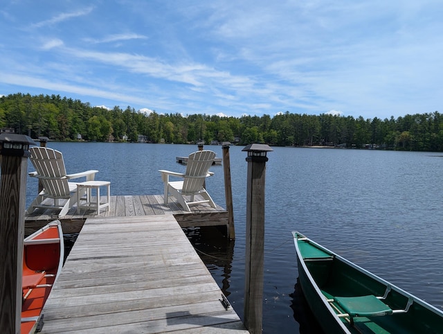 175 Rolfe Pond Dr, Hopkinton, NH 03229 - dock area featuring a forest view and a water view