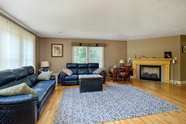 3 Playhouse Cir, Hampton, NH 03842 - living room featuring a glass covered fireplace and wood finished floors