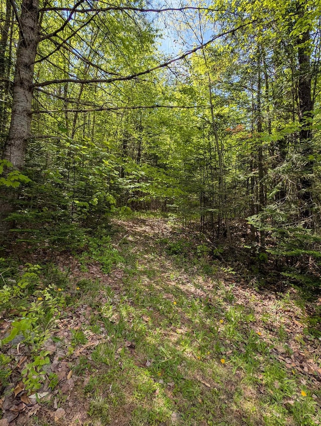2237 Manns Hill Rd, Littleton, NH 03561