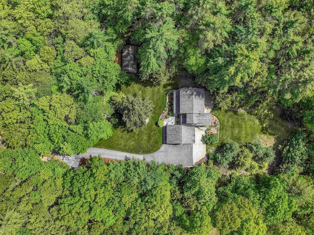 56 Averill Rd, Brookline, NH 03033 - bird's eye view of a forest